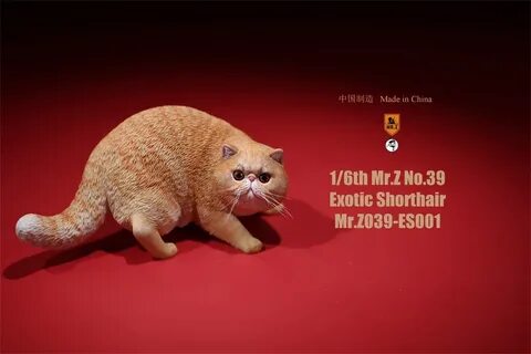 Экзотическая Милая кошка Mr.Z Studio в масштабе 1