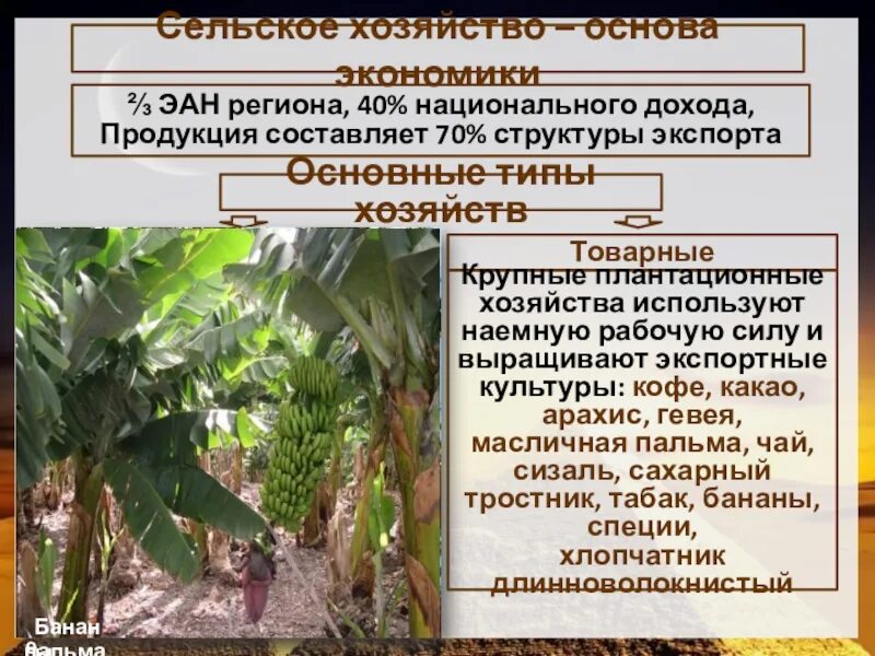 Промышленность африки карта. Субрегионы африки страны. Отрасли специализации сельского хозяйства африки. Сельское хозяйство африки карта. Промышленность тропической африки.