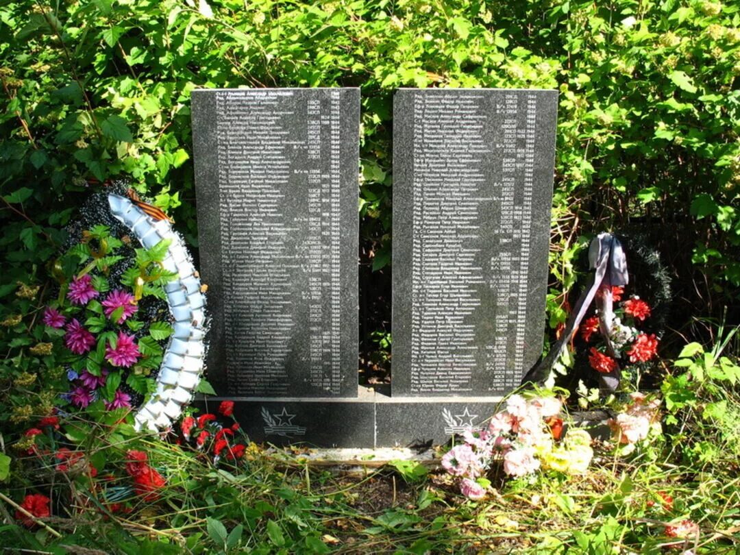 Похоронен в братской могиле. Апраксин городок Братская могила. Ленинградская область деревня новая Братская могила. Братское захоронение советских воинов. Мемориал Братская могила новая деревня.