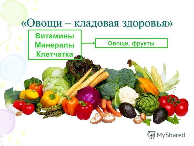 Витамины содержащие клетчатку. Витамины и минералы здоровое питание. клетчатка в овощах. витамины и минеральные вещества питание. клетчатка витамины.