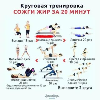Тренировки в зале для жиросжигания
