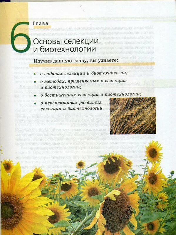 Тест по биологии селекция. Тесты по биологии на тему селекция. Тест по теме основы селекции вариант 2 ответы на вопросы. Биология 9 кл тест по теме генетика. Основы селекции 9 класс тест ответы.