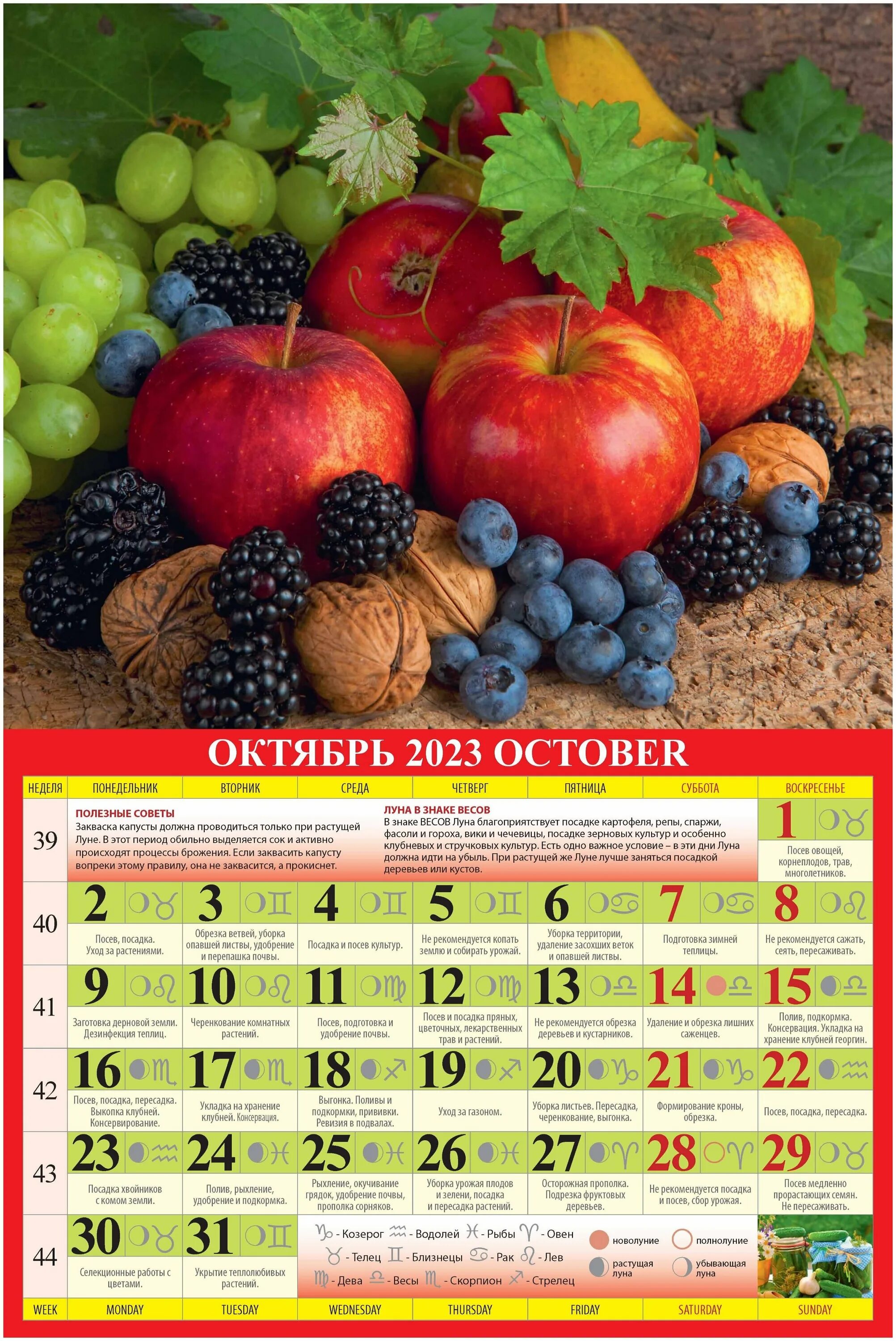 доклад на тему лунный календарь. огородный лунный календарь. лунный огородный календарь 2023. садового-огородный лунный календарь", 16,5x34 см. огородный лунный календарь.