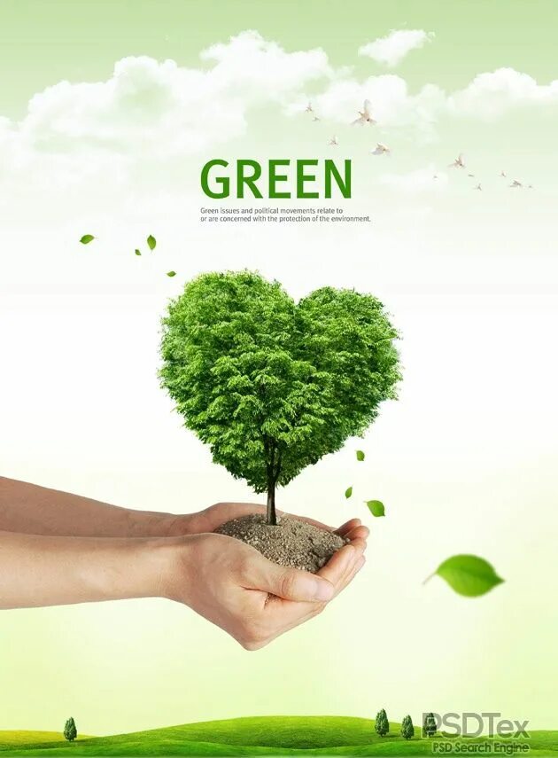 Save tree