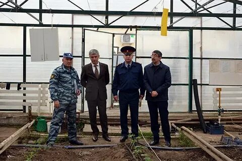 Абдулгапурова хурзадай