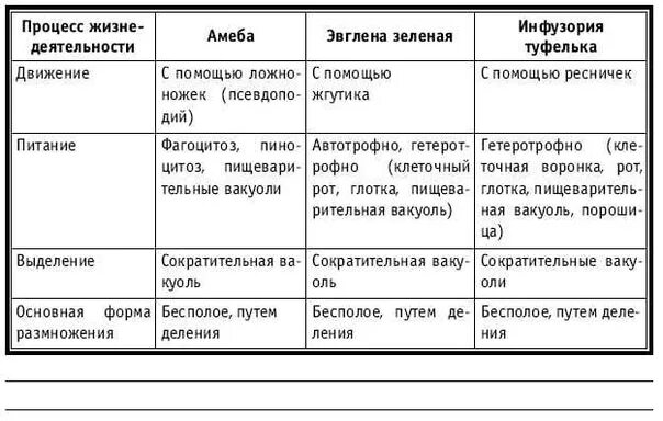 Тип простейшие таблица. Таблица по биологии 7 класс тип простейшие. таблица основных одноклеточных животных по биологии. таблица процессы жизнедеятельности амебы протей. таблица по биологии 7 класс строение простейших.