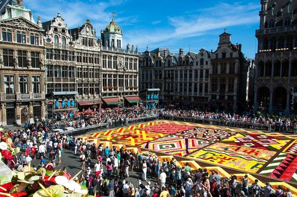 Площадь гранд плас брюссель цветочные ковры. Брюссельская ратуша бельгия. Брюссель находится в стране. Брюссель площадь люксембурга. Брюссель находится в стране.