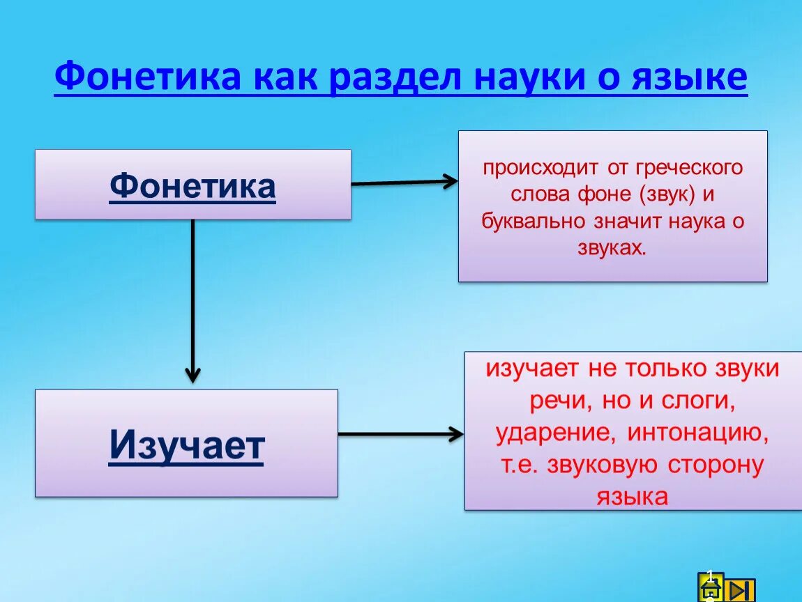 Фонетика. Что изучает фонетика. Фонетика 5 класс русский язык. Что изучает фонетика схема. Звуки речи 5 букв