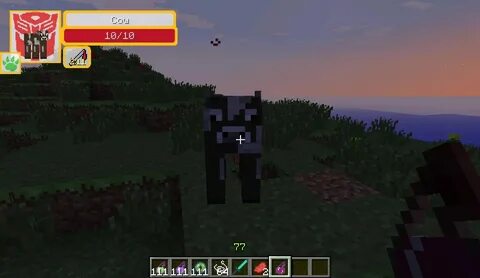 Damage 1.16 5