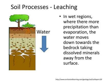 Soil перевод
