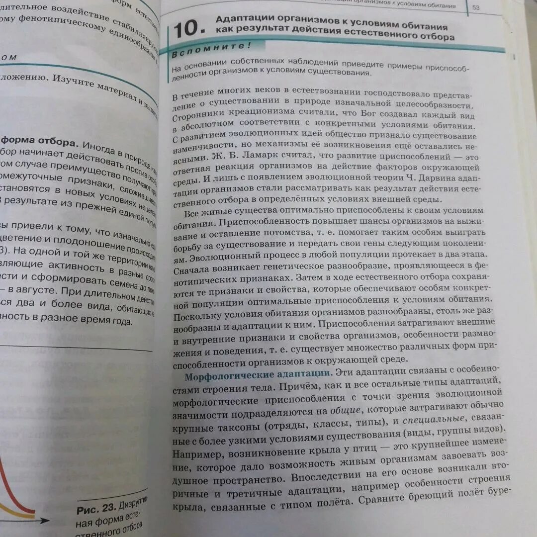 Сивоглазов агафонова захарова биология 11 класс. Учебник биология 11 класс Сивоглазов Агафонова Захарова. Сивоглазов Агафонова биология 11 класс общая биология учебник базовый. Захаров Сивоглазов Мамонтов биология 9 класс учебник.