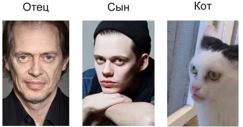 Что такое на что он похож