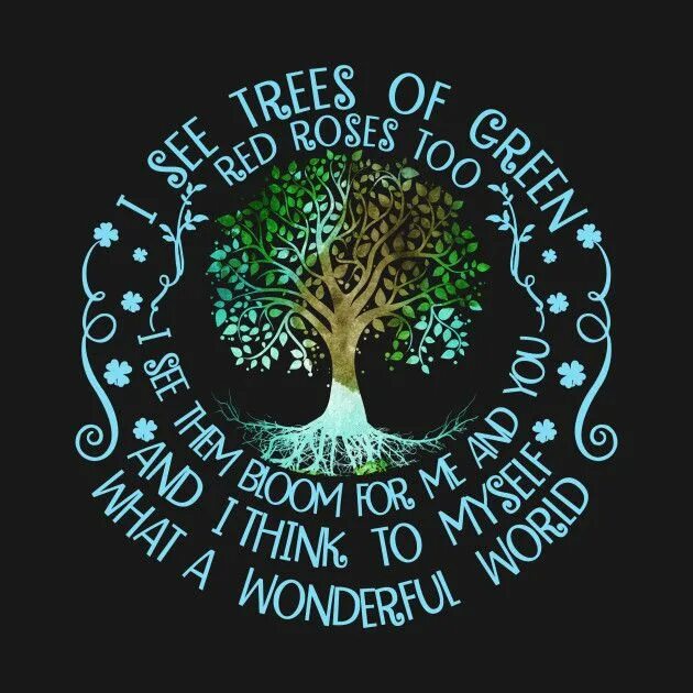 I see trees. I see trees of green. i see trees of green текст. i see trees of green исполнитель. i see trees of green реклама.