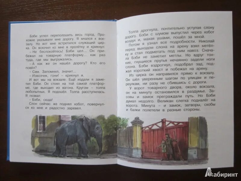 Маленькие рассказы Дурова. Рассказы Дурова о животных. Дуров в. "Мои звери". Баронина рассказы про зверей