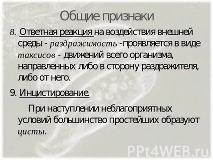 Реакция на воздействие внешней среды