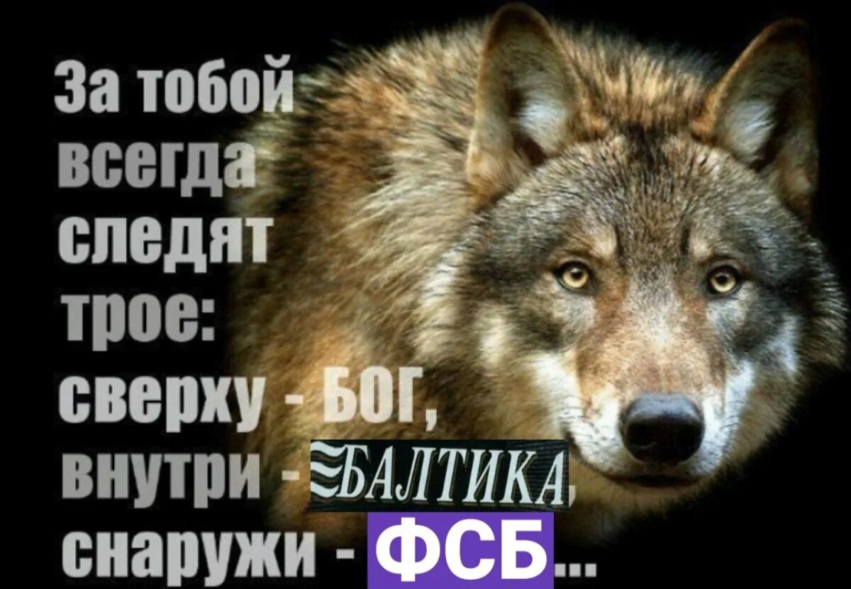 Бог следит