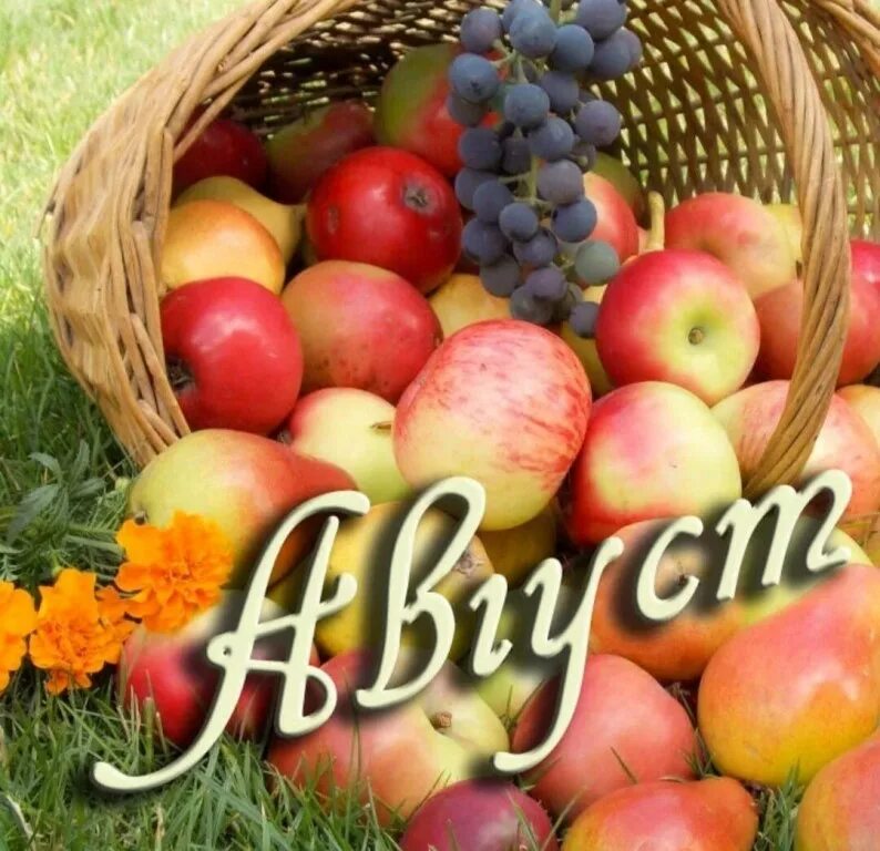 Названием август. Август надпись. лето август. месяц август. красивый август.