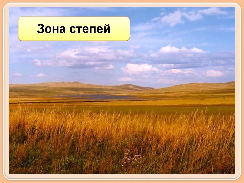 Природная зона степь 6 класс. Зона степей. Степь природная зона. Природные зоны картинки. Природные зоны России 4 класс окружающий мир степи.