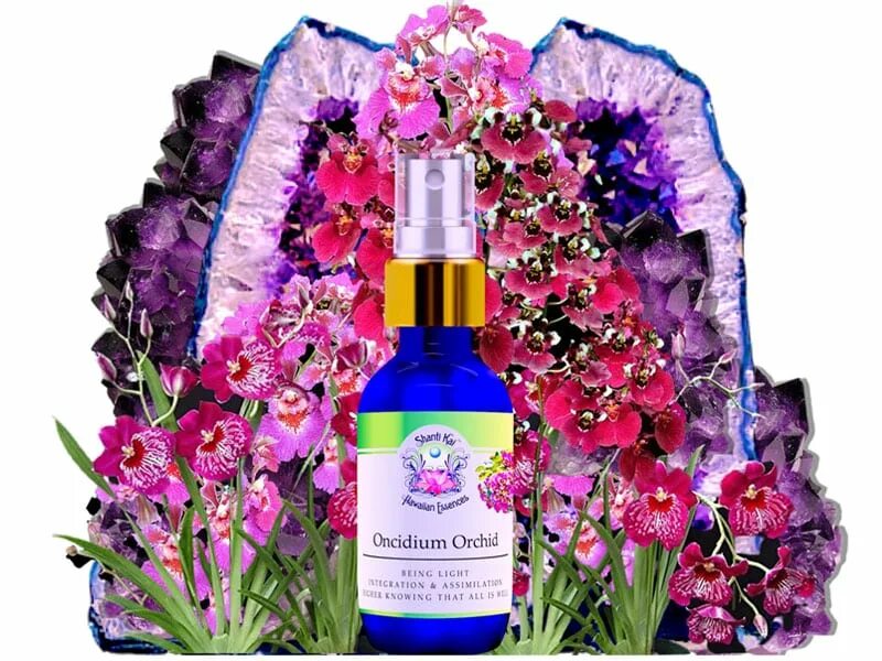 Essence flowers. Эфирные масла. Ароматерапия вертикальная картинка. Dandelion essence herb farm. Essence flowers.