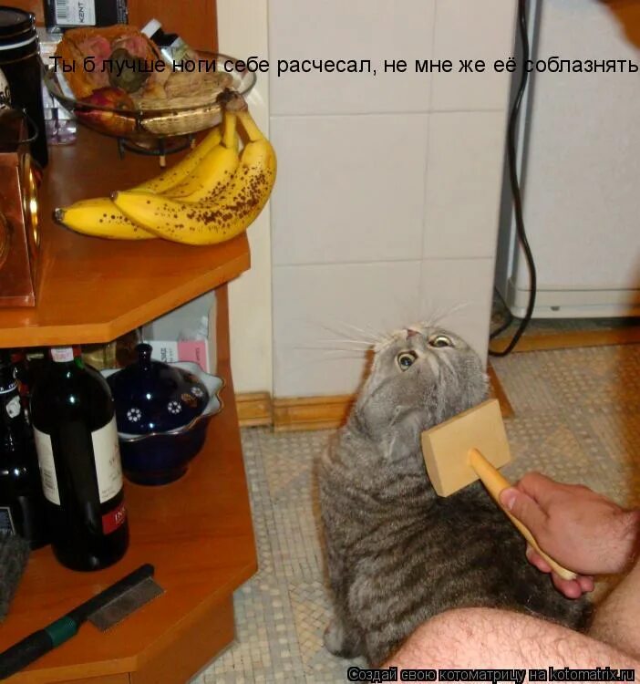 проводил соседку. моя соседка. проводил соседку. соседи иллюстрация. сосед пришел за солью.