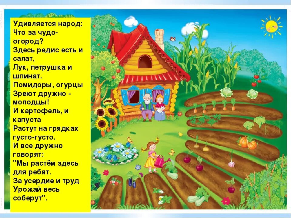 Текст летом у нас на грядках появились. Хороводная игра огород. Стихотворение про огород для детей. Стихотворение про огород в детском саду. Детский огород в детском саду.