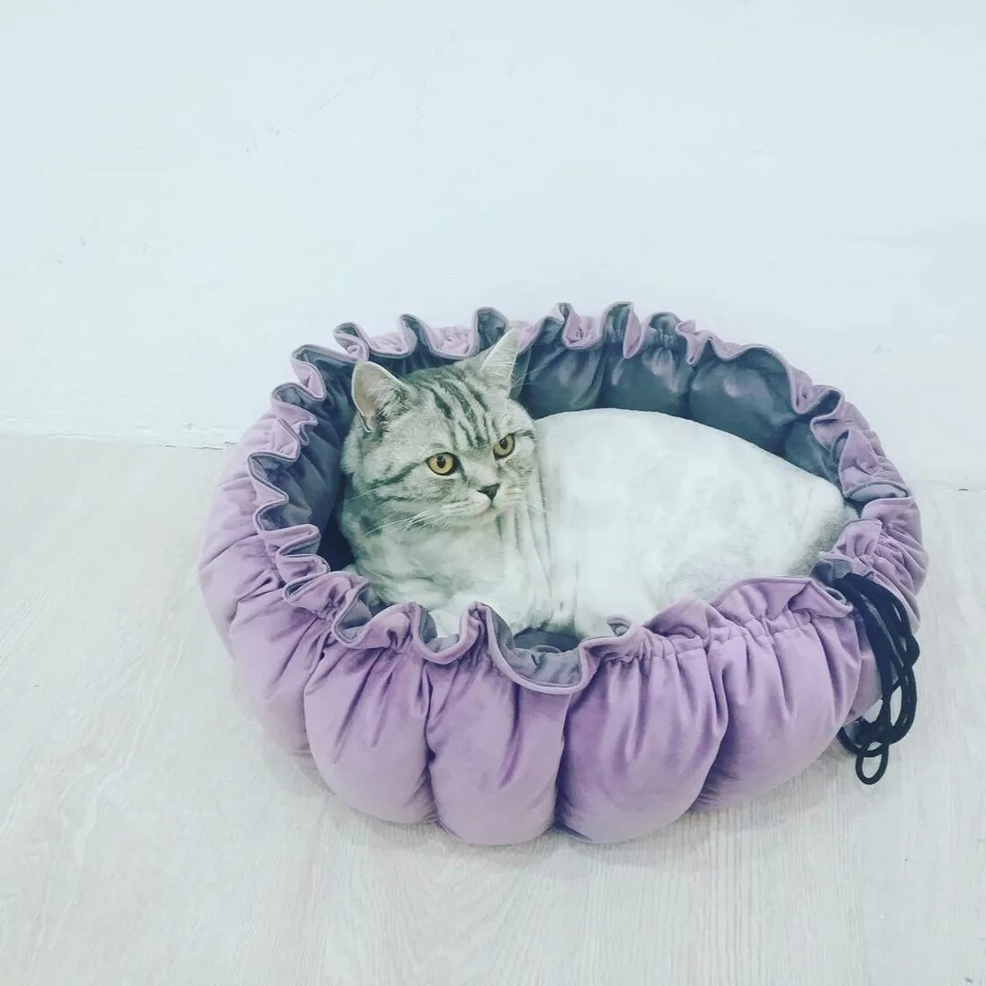 Как сшить лежанку для кошки с бортиками. Лежанки для котов. кошачья лежанка. шьем лежанку для кошки. круглая лежанка для кошки.