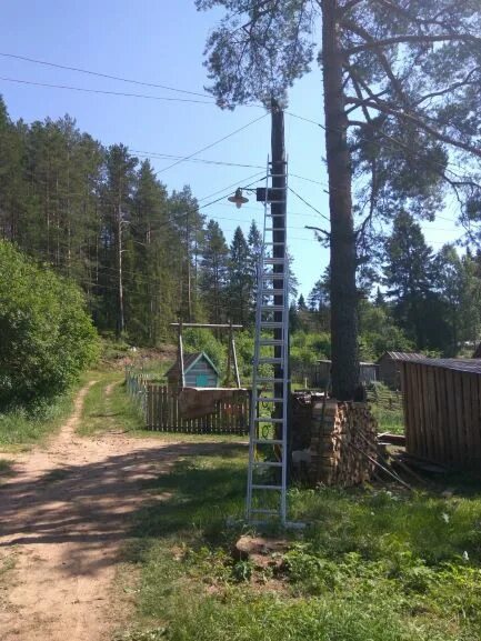 Погода в шугозеро на месяц. Поселок шугозеро. Шугозеро день поселка. Посёлок шугозеро стадион. Шугозеро новости.