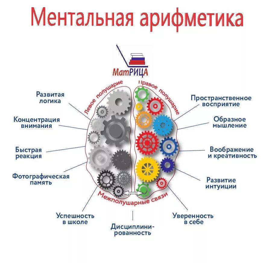 Ментальное развитие ребенка. Программа ментальной арифметики. Ментальная арифметика развитие. Ментальная арифметика интересные факты. Ментальная арифметика занятия.