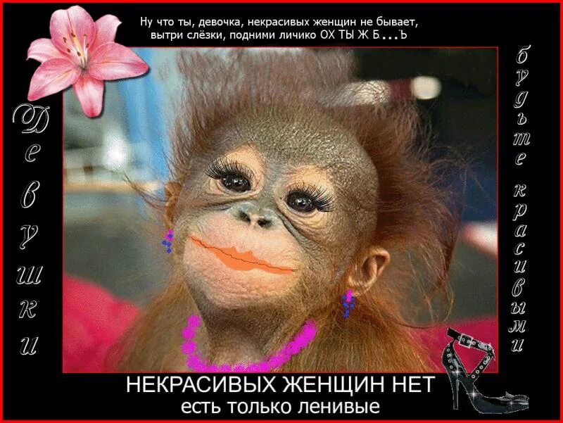 Некрасивая надпись. Некрасивых не бывает. Некрасивый рыжий кот. Грустные бездомные коты. Кавказская пленница шурик плачет.