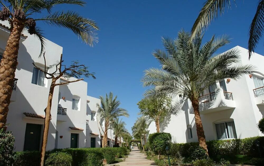 Jaz fanara resort residence 4 шарм. Фанара египет шарм-эль-шейх. отель фанара шарм-эль-шейх. jazz fanara шарм эль шейх. jaz fanara resort &amp; residence 4*.