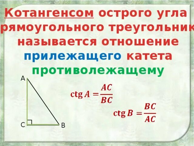 Котангенс угла c. Котангенс острого угла прямоугольного треугольника. Котангенс в прямоугольном треугольнике. Соотношения в прямоугольном треугольнике. Котангенс угла в треугольнике.