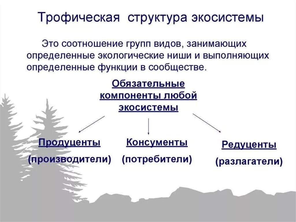 Трофическая структура сообщества. Структура экосистемы трофическая структура. Трофическая структура, компоненты экосистемы. Трофическая структура биоценоза. Трофическая структура биоценоза. Трофические уровни..