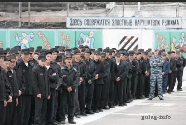 Зона ика 3. Зона ика 3. Зона ика 3. Ик 3 сафоново. Фку ик 3 смоленск.