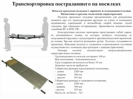 Какое слово лишнее поднос носатый носилки носит