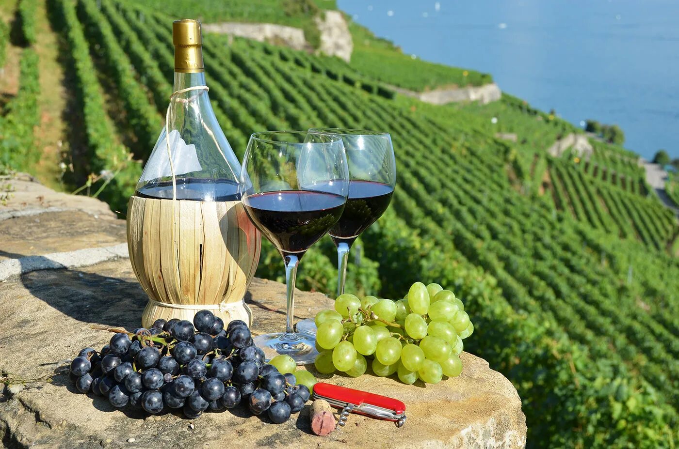 Производство вина из винограда. Праздник вина «Ртвели». Грузия. Кахетия виноградники. Тоскана Италия винодельни. Вино Тоскана Италия.