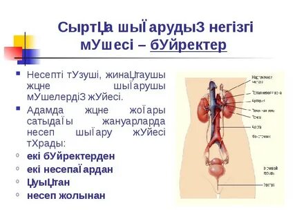 Нина Мерседестің жалаңаш суреттері