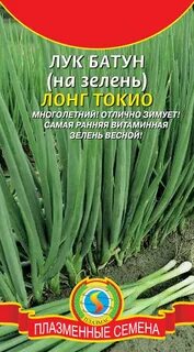 Многолетний лук на зелень