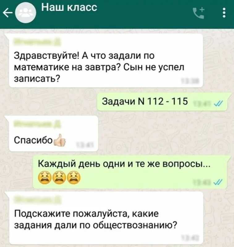 чат группы в ватсапе. ватсап про детей. родительский чат. ватсап про детей. сообщения в родительских чатах.