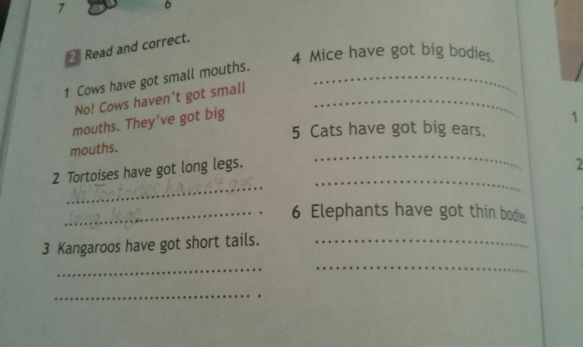 Английский read and correct. Переспроси как показано в образце Cows have got short Tails have they got short Tails. Read and correct ответы. Read and correct 3 класс ответы.