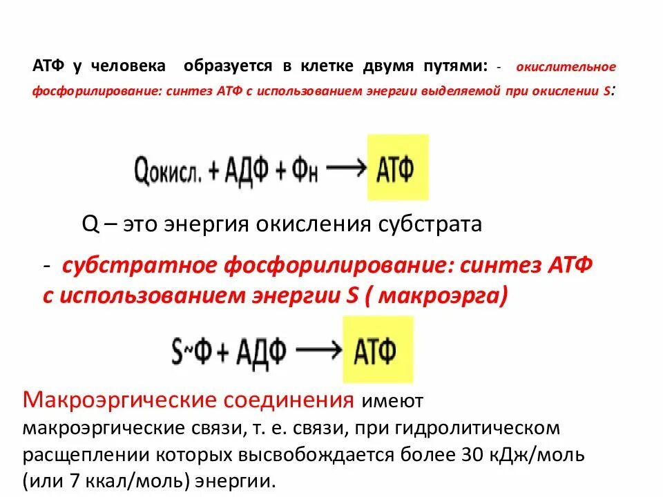 Окисление АТФ. Окислительный Синтез АТФ. Распад АТФ. Окислительное фосфорилирование АТФ.