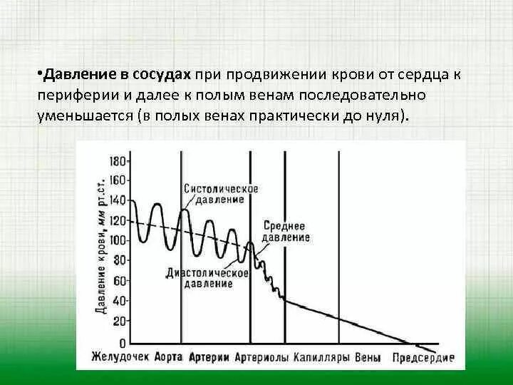 Изменение давления крови. Изменение давления в сосудах. Давление крови в сосудах. Изменение давления в артериях. Какова зависимость изменения давления крови