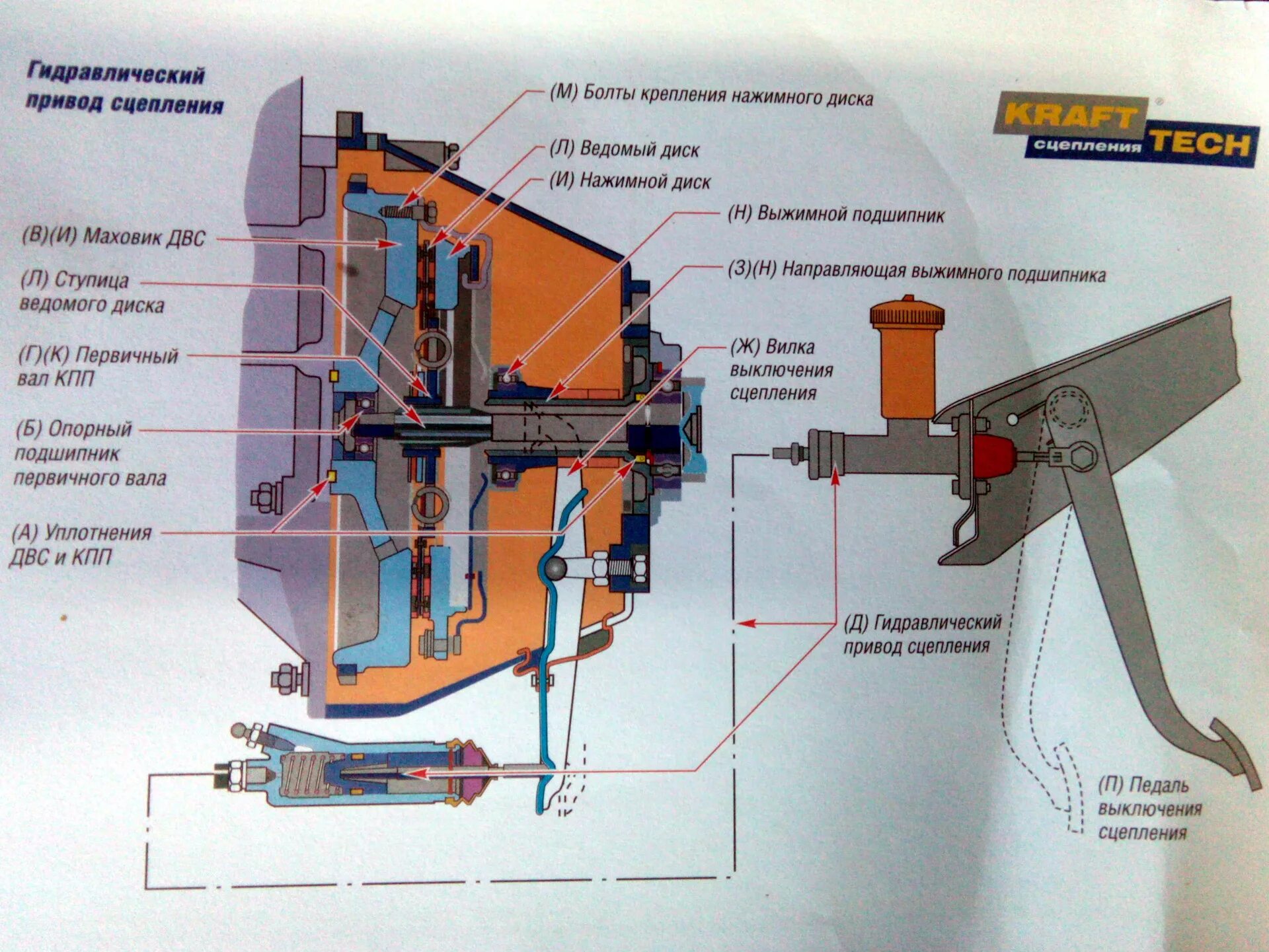 Гидравлический привод выключения сцепления ГАЗ 2705. Гидравлический привод выключения сцепления состоит из. Принцип работы выжимного подшипника сцепления автомобиля. Устройство гидравлического выжимного подшипника сцепления. Работа привода сцепления