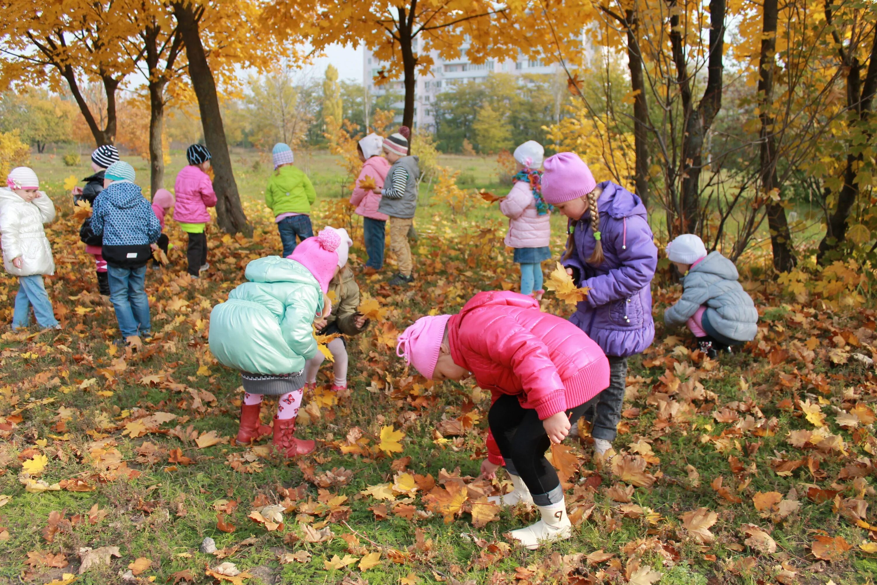 Осенние прогулки с детьми. Прогулка в садике. Дошкольники на прогулке. Занятия осенью.
