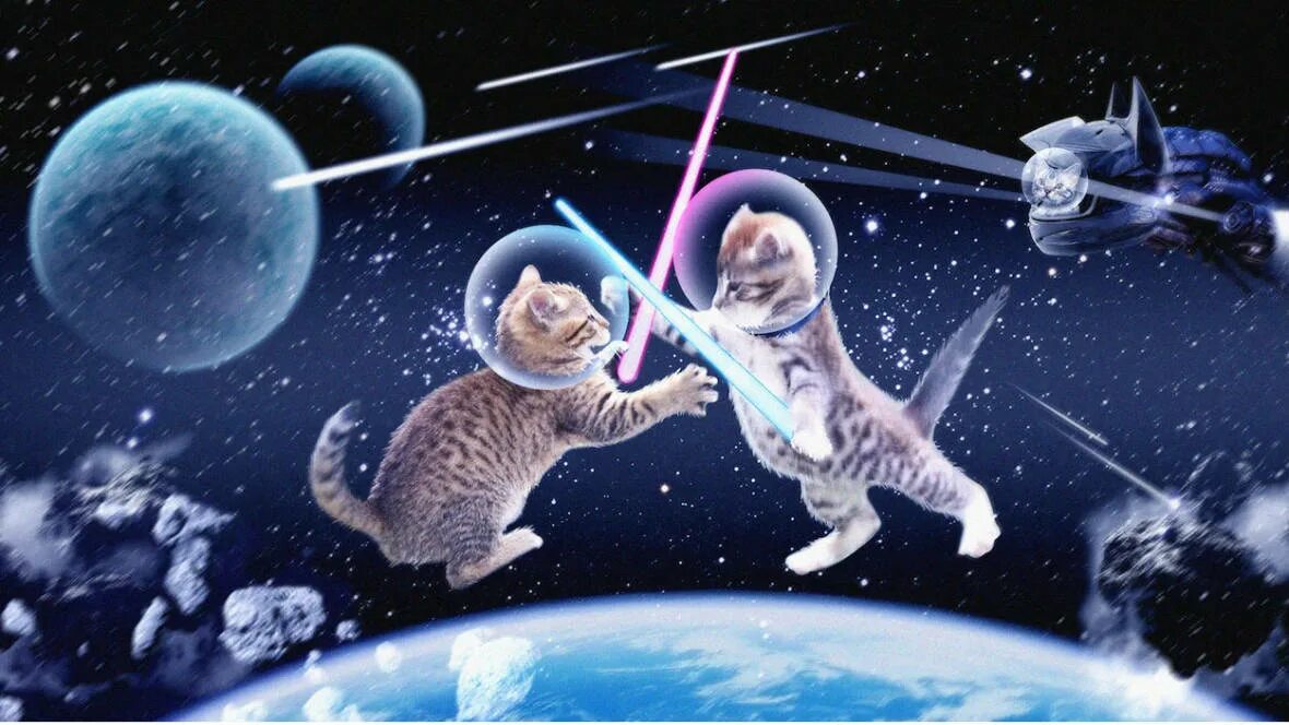3 кота космическое путешествие. Космический кот. Кот в космосе. Кот космонавт. Кот в скафандре в космосе.