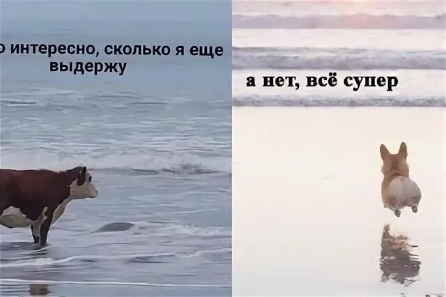 Не знаю долго