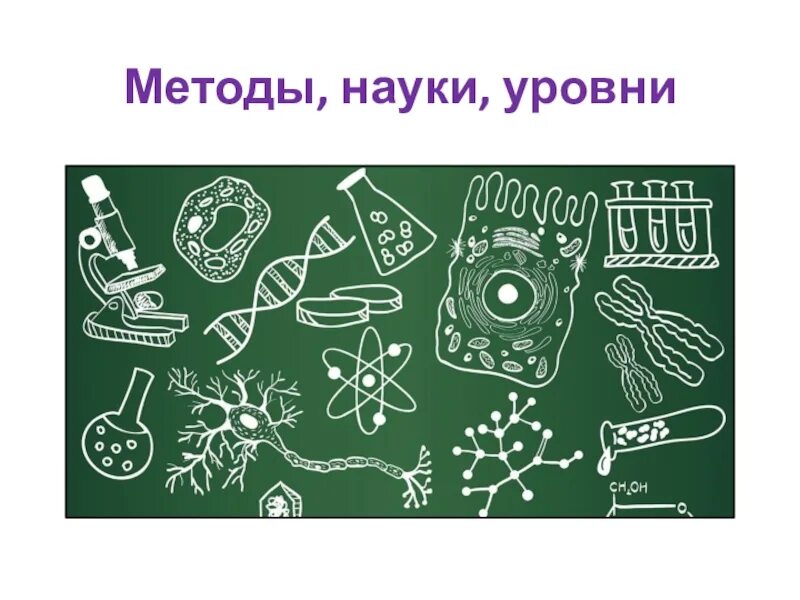 Метод науки определение. Методы науки. общие методы науки. доска биология для слайда. егэ биология подготовка презентация.