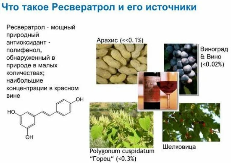 Какого витамина больше всего в винограде. Ресвератрол в продуктах. В каких продуктах содержится Ресвератрол. Продукты богатые ресвератролом. Ресвератрол в чем содержится.