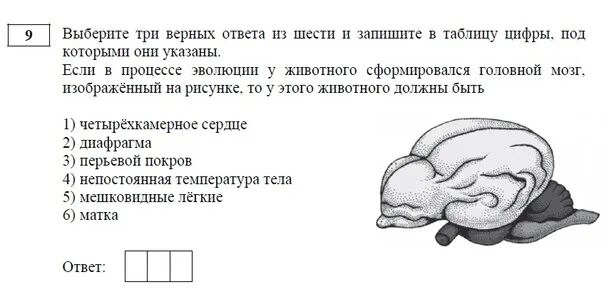 Выберите верное утверждение и запишите цифры под