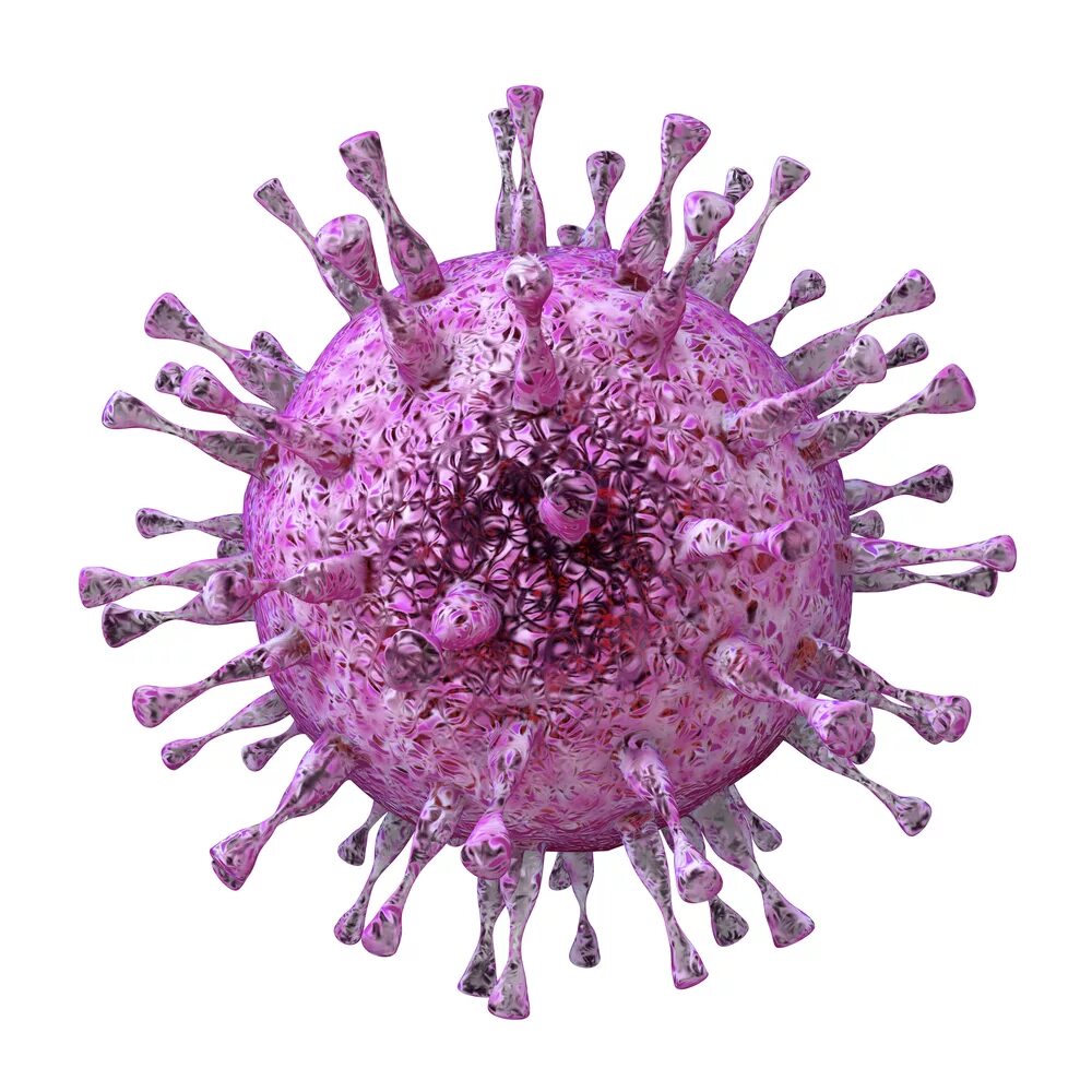 Розовый спид. Цитомегаловирус суперкапсид. Герпес цитомегаловирус. ЦМВ строение вируса.