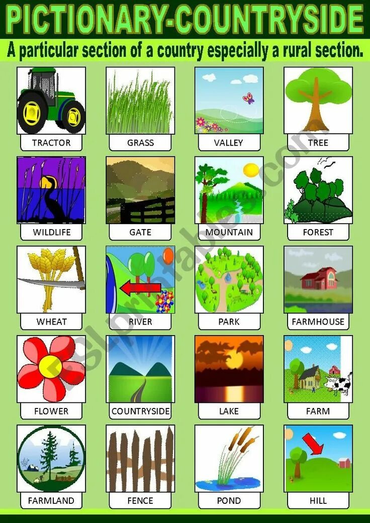 Country side перевод. Country side перевод. Countryside vocabulary worksheets. Упражнения по теме countryside / city. Country side перевод.
